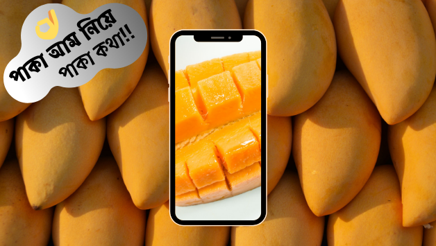 পাকা আম নিয়ে পাকা কথা 